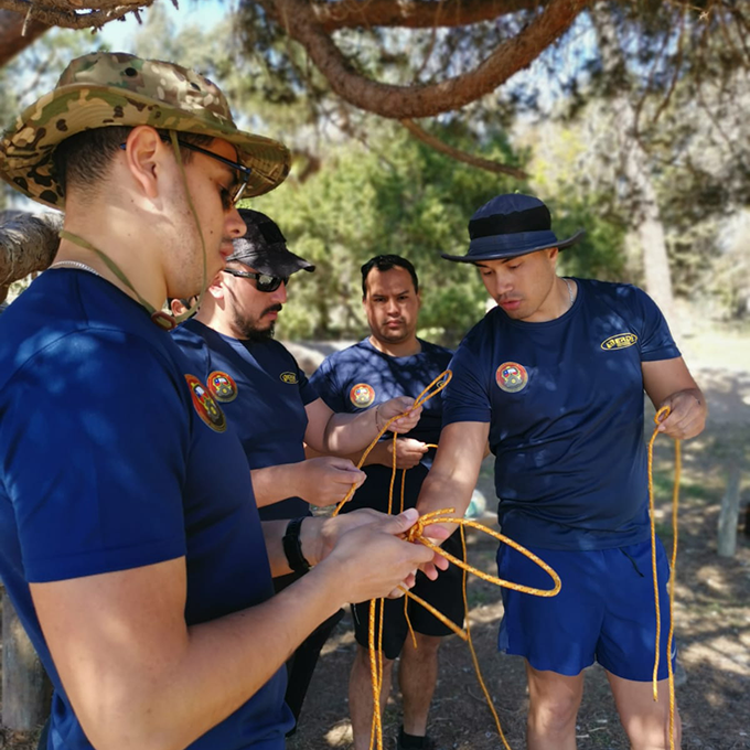 team-member